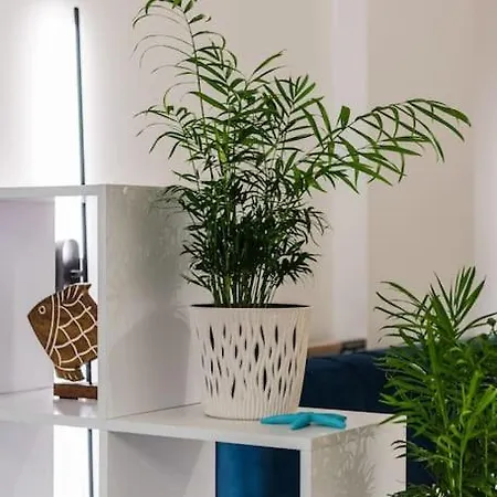 Coastal Pines Oasis By Ps Golem (Tirana)